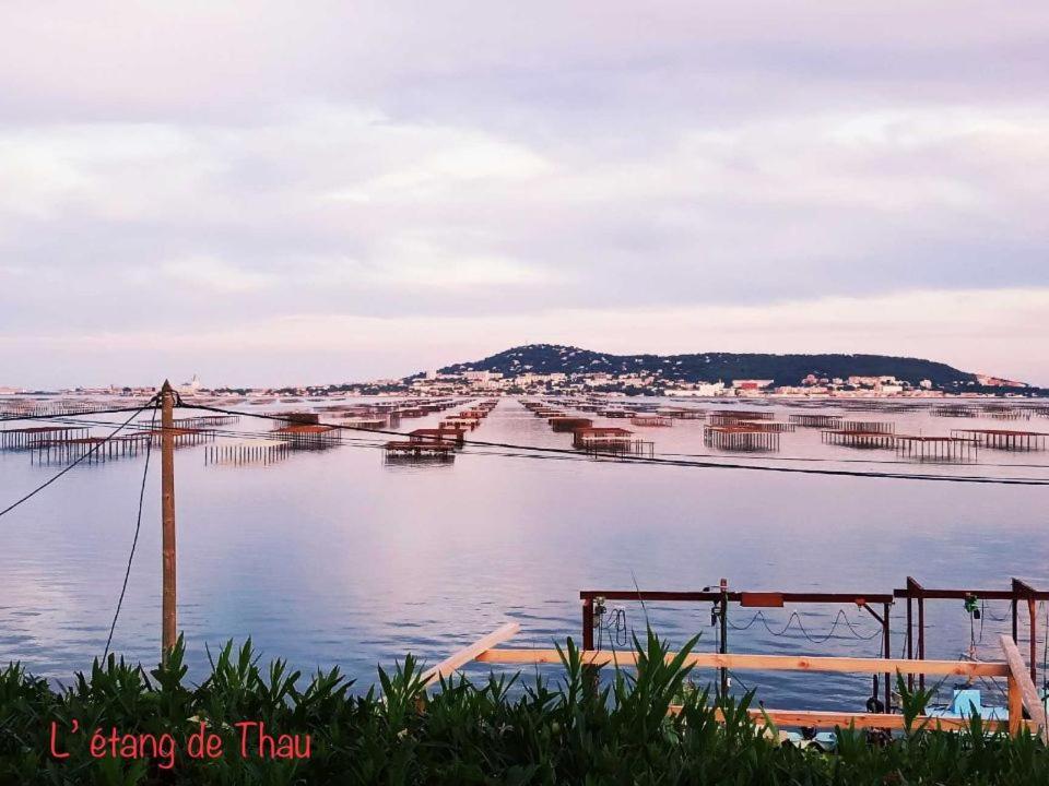 Amarine Joli T3 Centre Ville Terrasse Parking Et Velos Sète Dış mekan fotoğraf